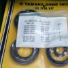 1m1-w0003-00 DT250 TY250 DT400 Simmerringe-Dichtungs-Satz oil seal kit